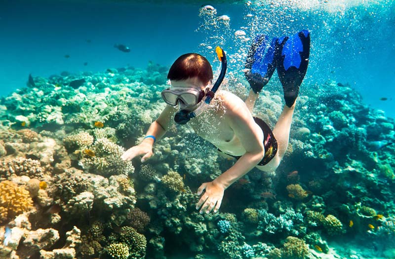 Snorkeling on the coral reef, Con Dao Island. (Best islands in Vietnam)