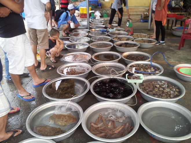 Fresh seafood market