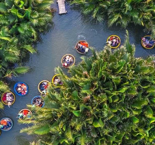 7 acres of coconut forest in Hoi An