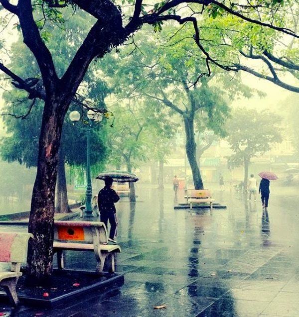 Vietnam Rainy Season