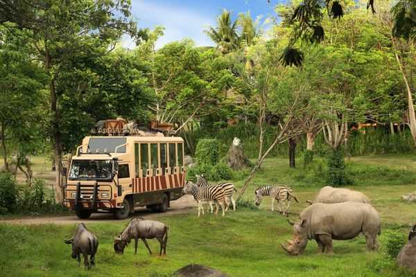 Vinpearl Safari Phu Quoc is animal care and conservation park built and designed based on the world-famous Safari model.