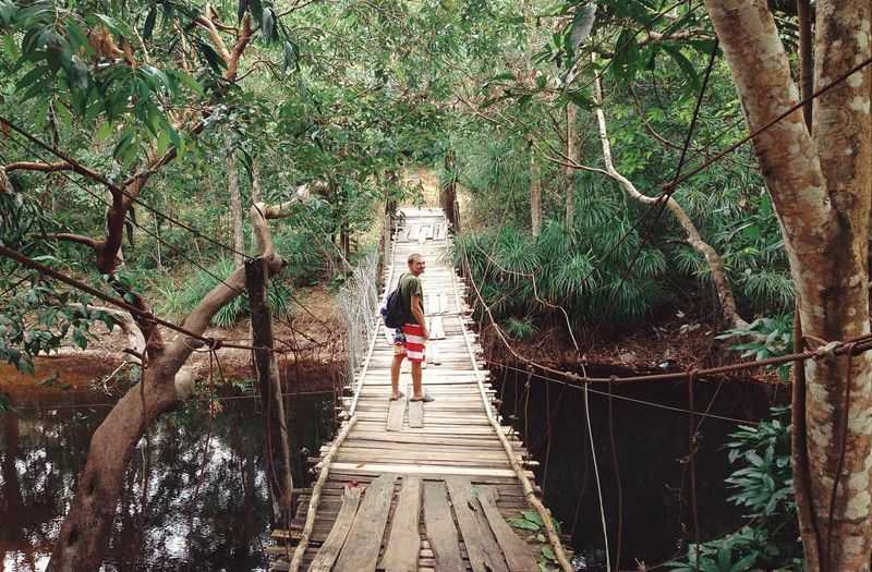 Discover primeval forest in Phu Quoc Island