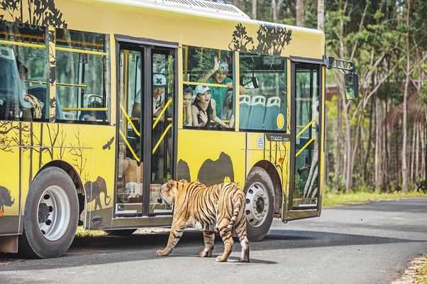 Vinpearl Safari Phu Quoc is animal care and conservation park built and designed based on the world-famous Safari model.(Vietnam Amusement Parks)