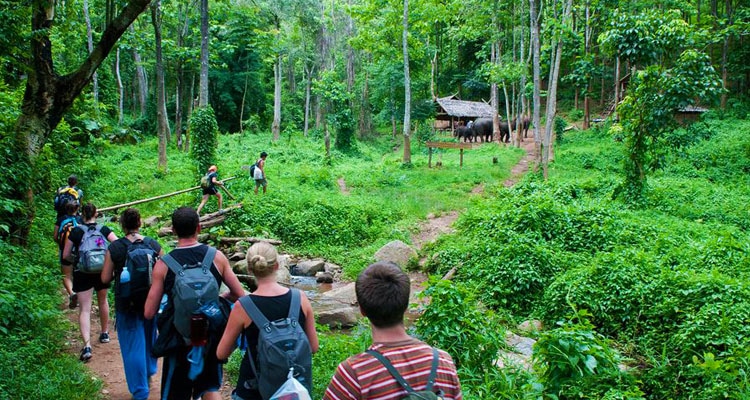 Cuc Phuong national park