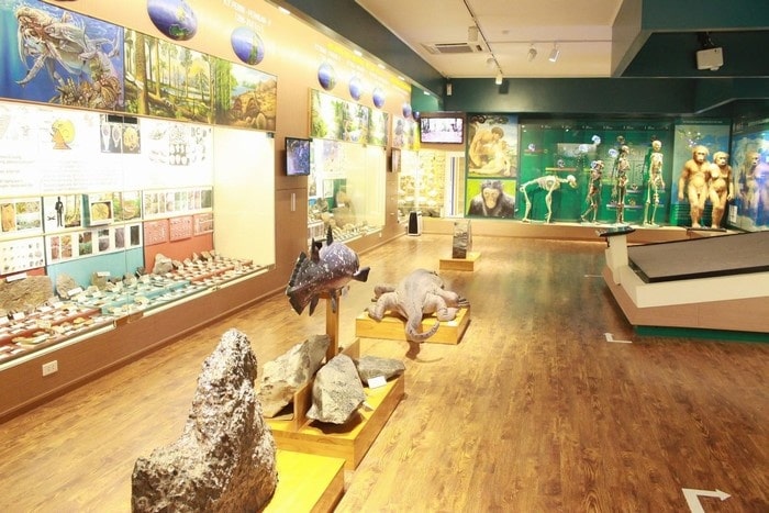 Reptile and amphibian exhibition area