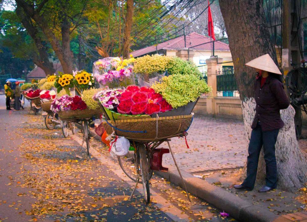 Flower Street Vendors in Hanoi