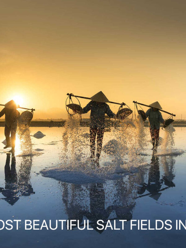Most beautiful salt fields in Vietnam