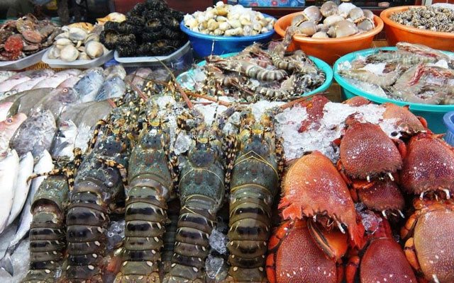 Fresh seafood - Ha Long Bay