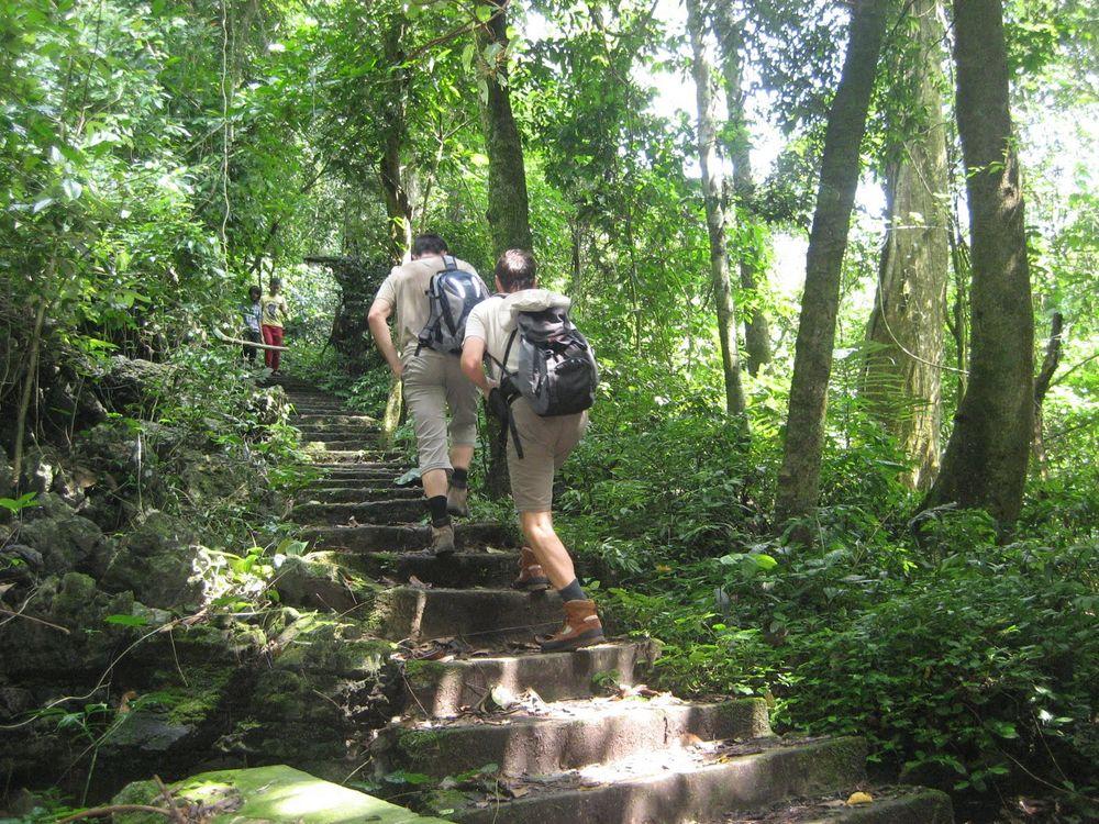 Walking tour in Cuc Phuong National Park