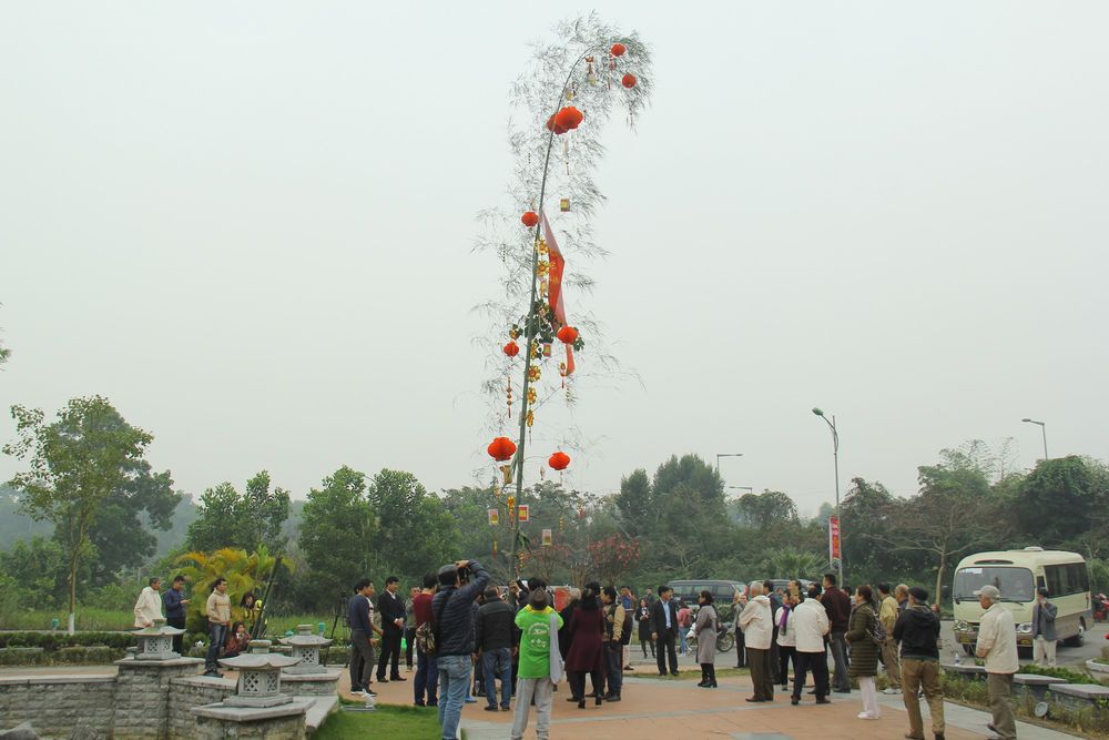 Build a New Year Tree (Vietnamese New Year)
