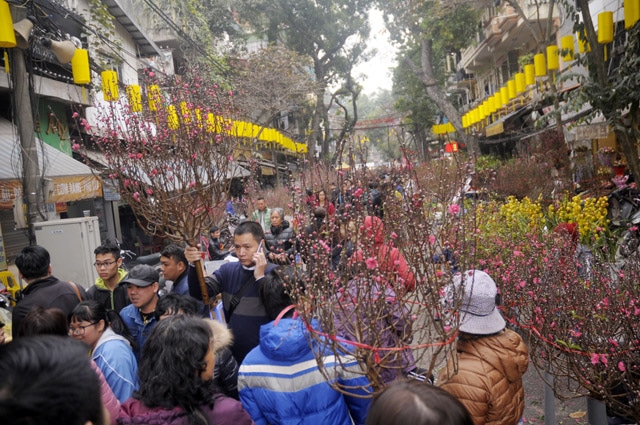 People go to Tet market not only to buy essential items on Tet holiday but also to meet each other, chat, enjoy the atmosphere of Tet bordering on Tet.
