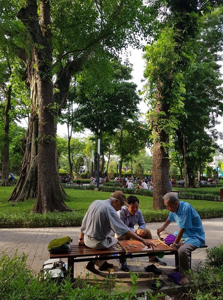 Old Men Playing Chess at Thong Nhat Park Hanoi