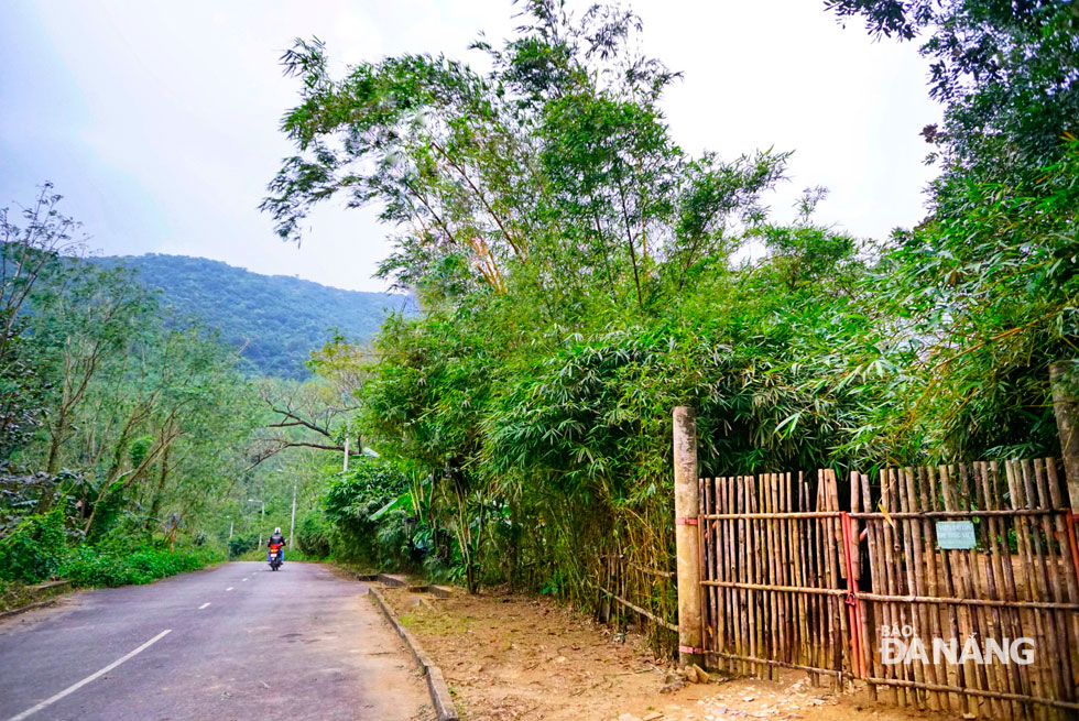 The road to Son Tra Tinh Vien