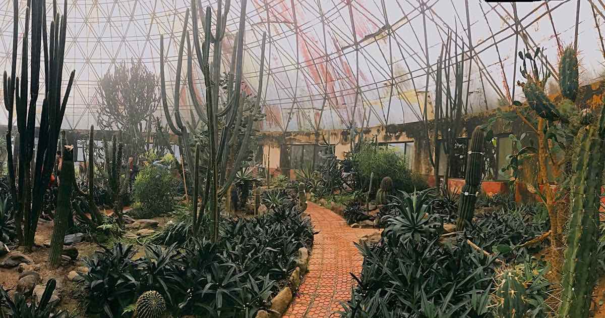 The cactus greenhouse lies on top the Ba Vi Mountain
