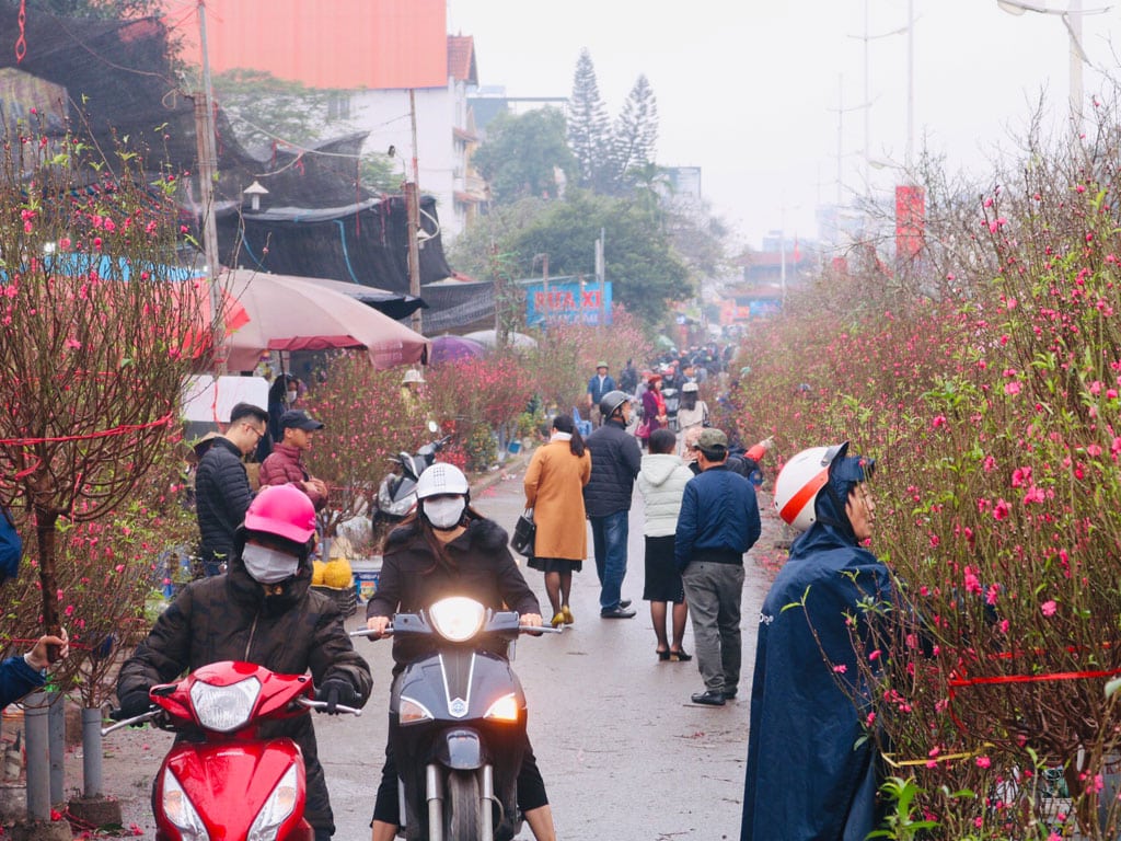 Quang Ba flower market busier ahead of Tet With the bright red color of peach blossom