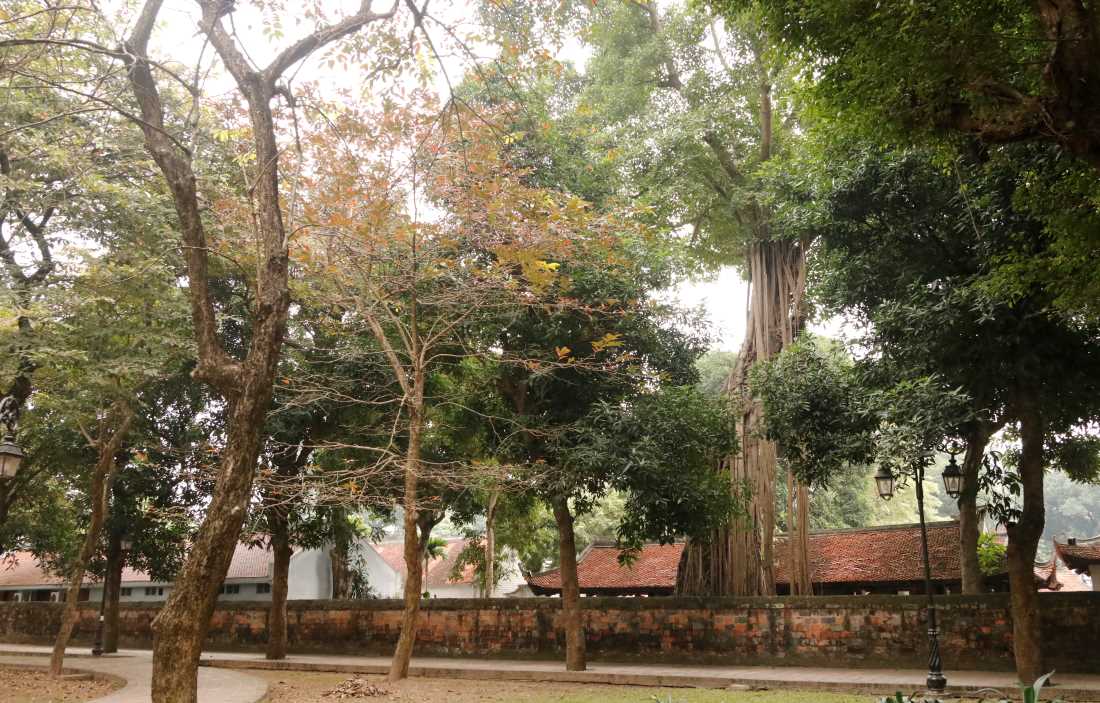 The wall as seen from Giám park (Temple of Literature Hanoi)