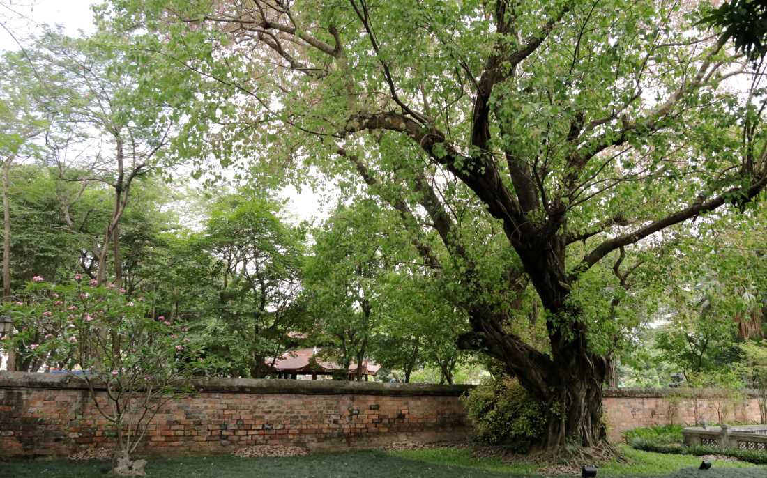 The wall separates Giám park from the inner areas (Temple of Literature Hanoi)