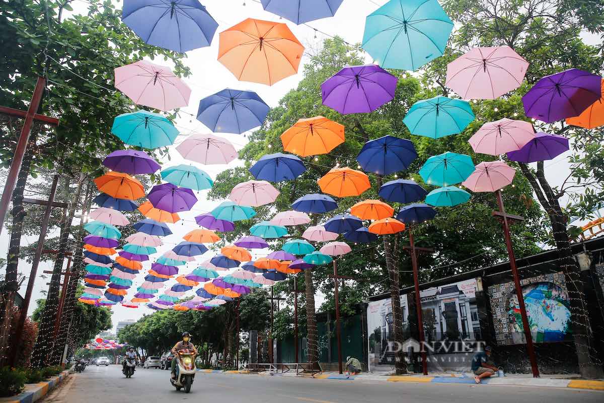 Trinh Cong Son pedestrian street